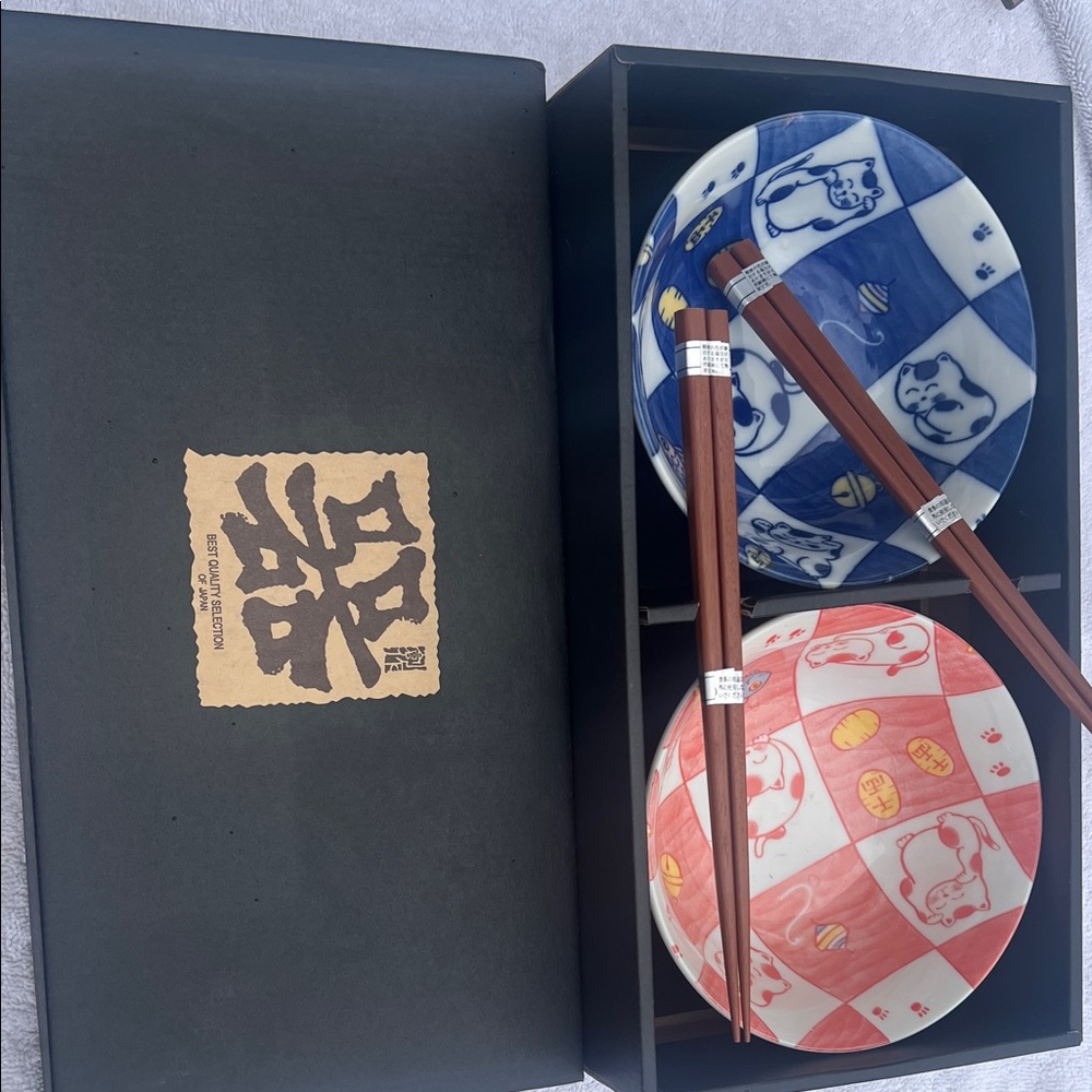 Blue and Red Cat Pattern Bowls with Chopsticks